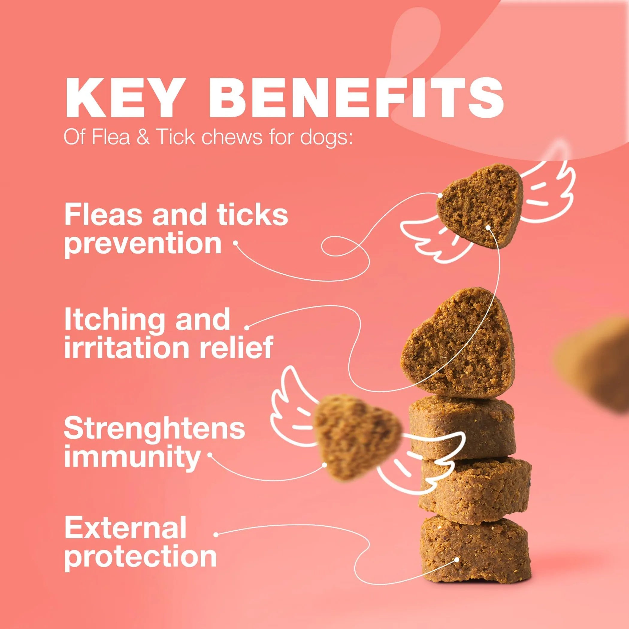 Dog Flea and Tick Treatment Chews