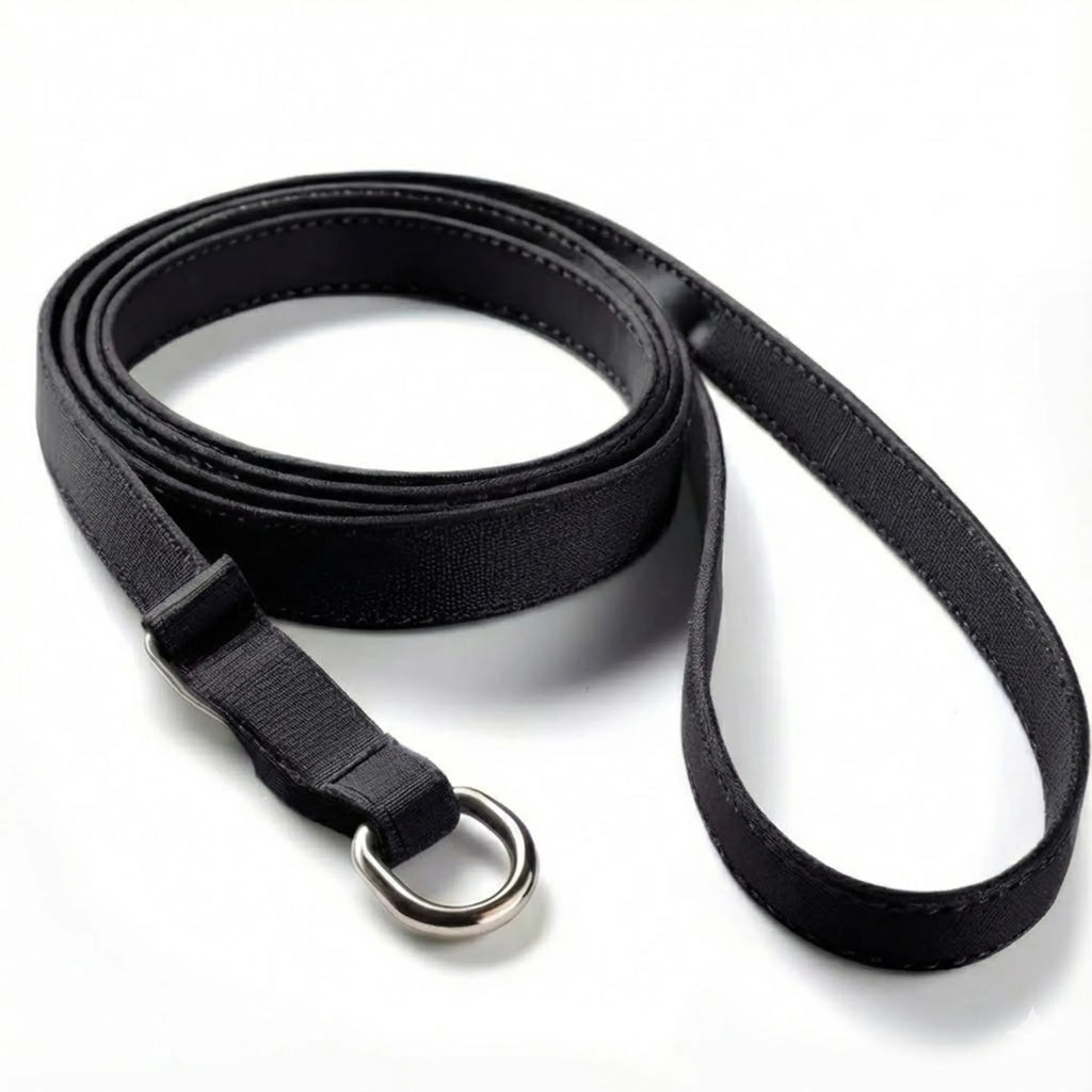 Pet Slip Leash