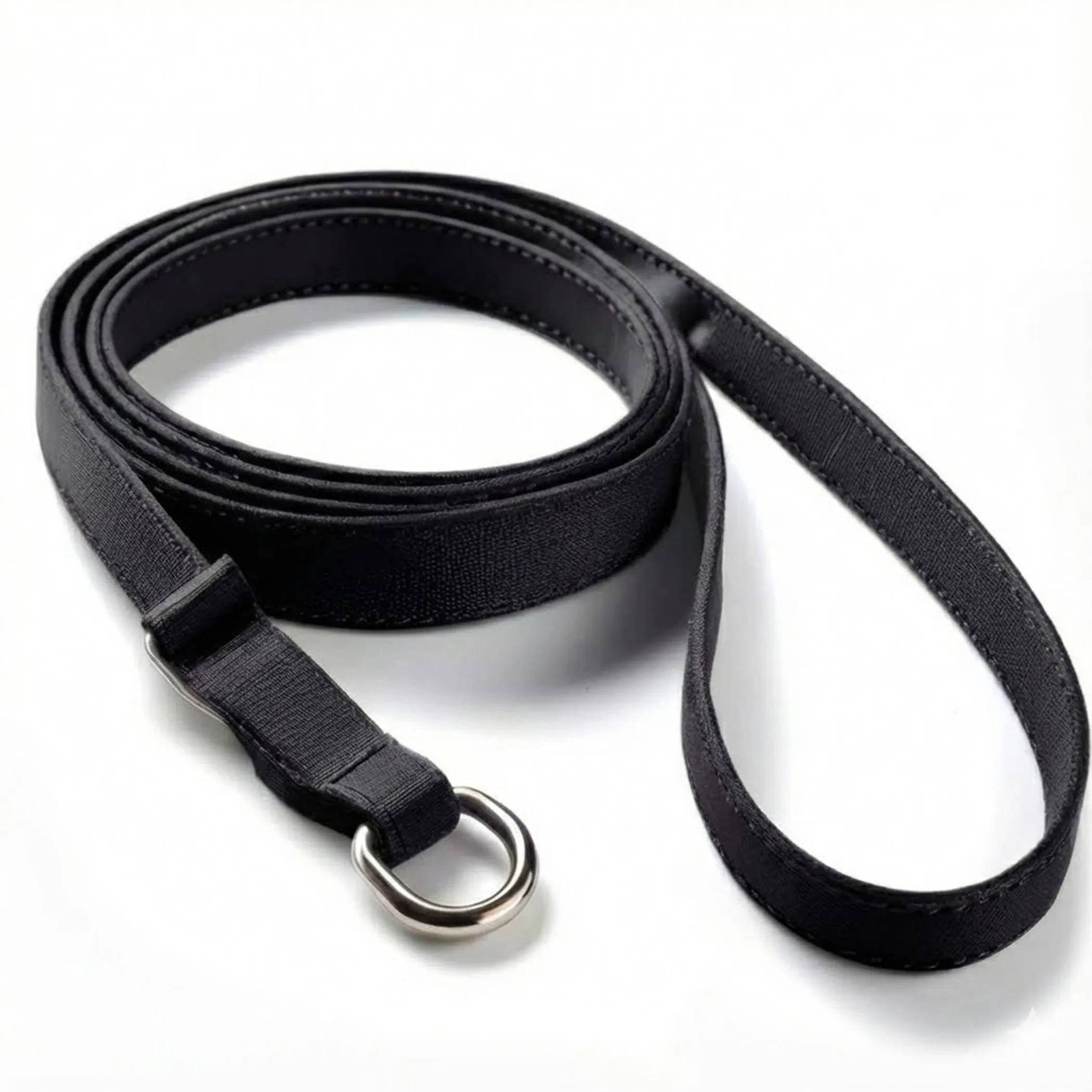 Pet Slip Leash