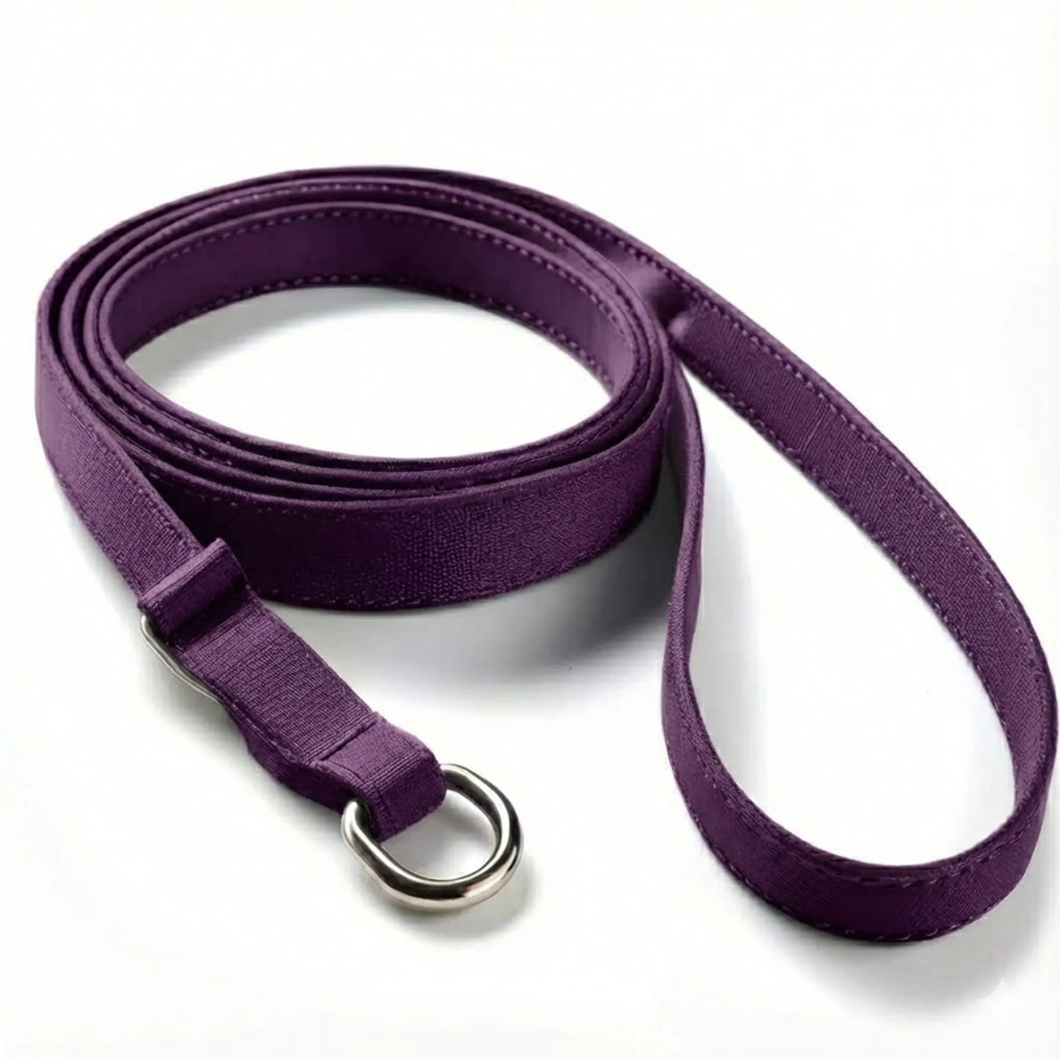 Pet Slip Leash