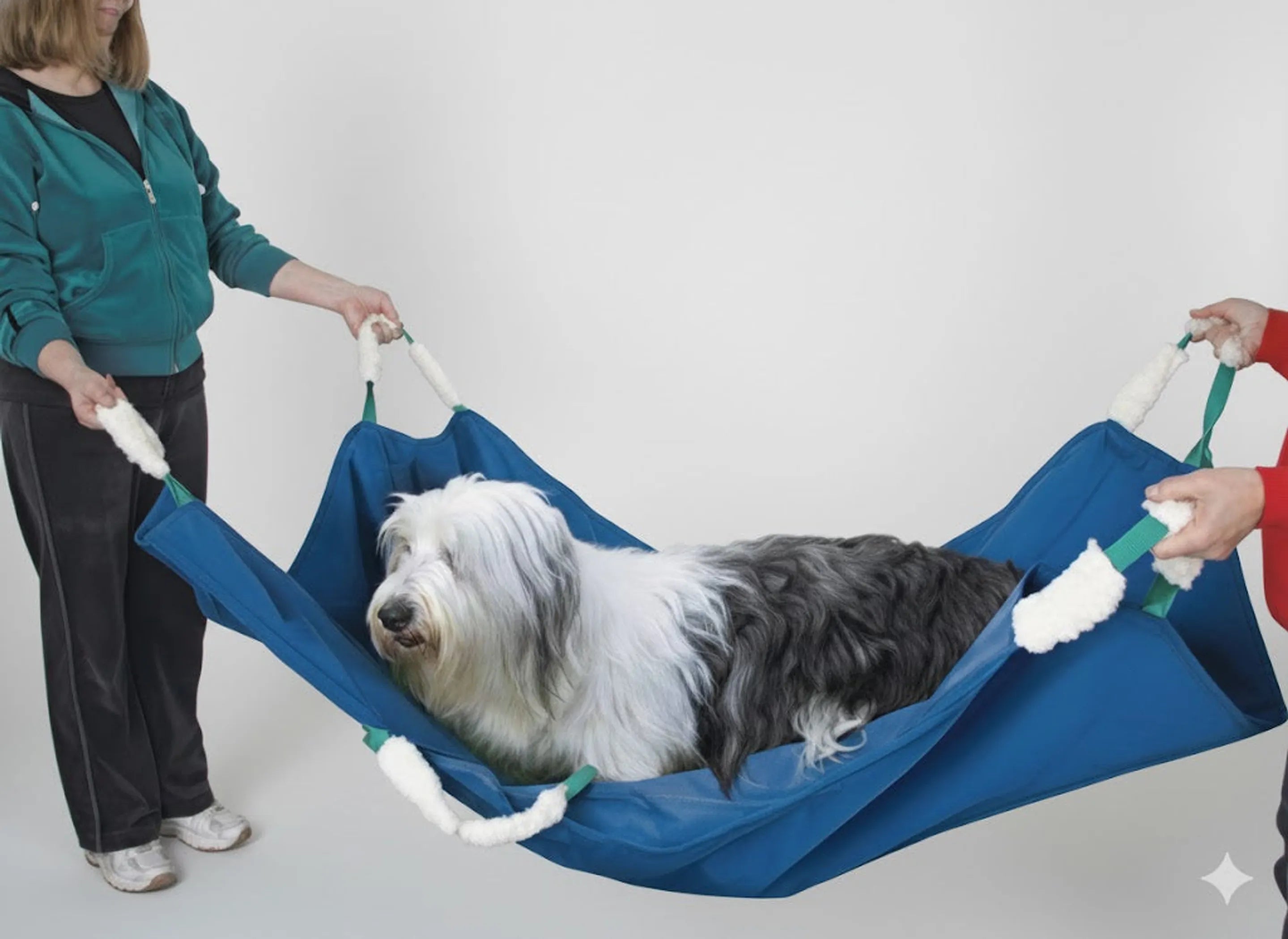 Soft Quick Carry Animal Stretcher