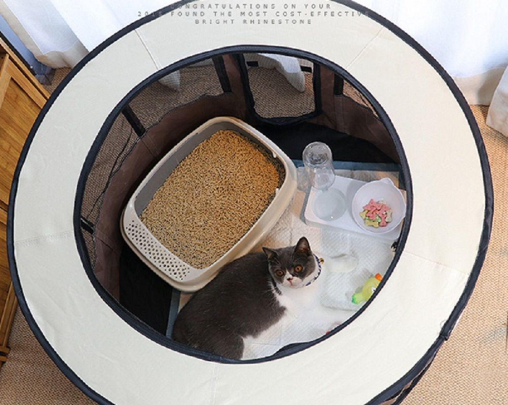 528689461